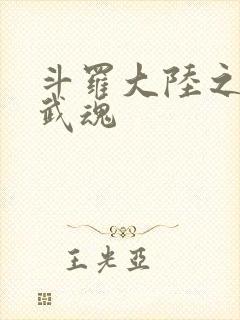 斗罗大陆之三生武魂