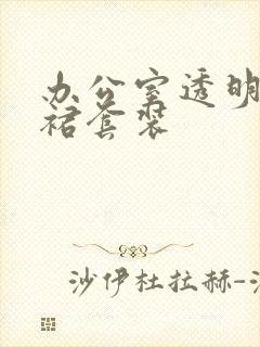 办公室透明半身裙套装