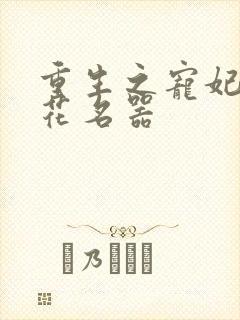 重生之宠妃白莲花名器