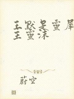 王默是灵犀阁公主灵沫