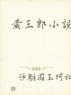 黄玉郎小说