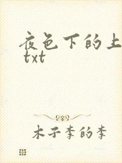 夜色下的上海滩 txt