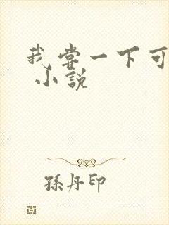 我尝一下可以吗 小说