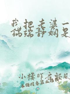 我把老婆一家一锅端静娴是什么书