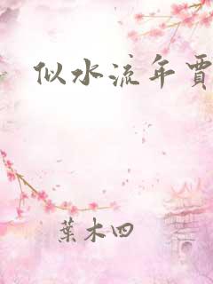 似水流年贾二虎