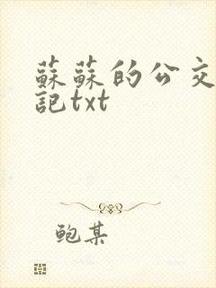 苏苏的公交车日记txt