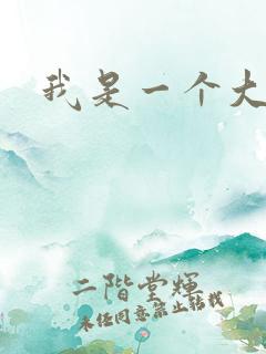 我是一个大盗贼