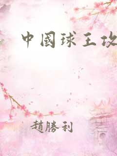 中国球王攻略
