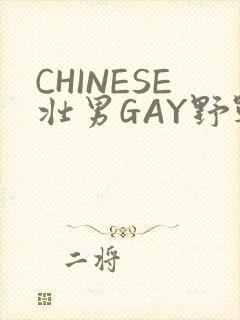 CHINESE壮男GAY野战强迫TUBE