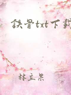 铁骨txt下载