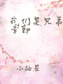 我们是兄弟最新章节