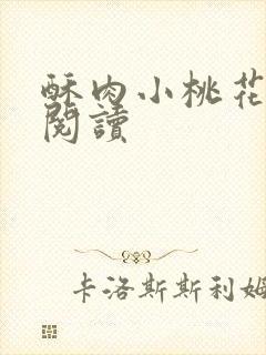 酥肉小桃花全文阅读