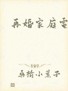 再婚家庭电视剧