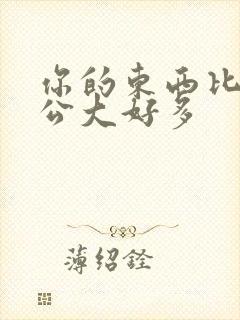 你的东西比我老公大好多