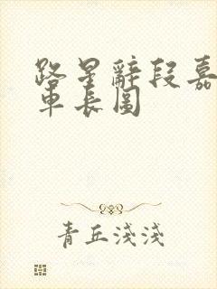 路星辞段嘉衍肉车长图