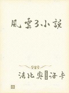 风云3小说