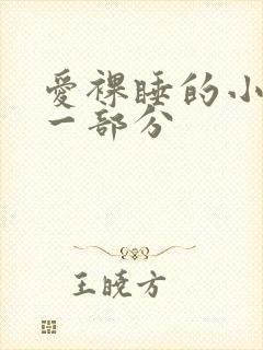 爱裸睡的小丹第一部分