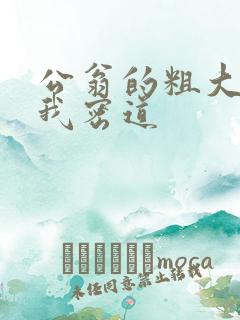 公翁的粗大挺进我密道