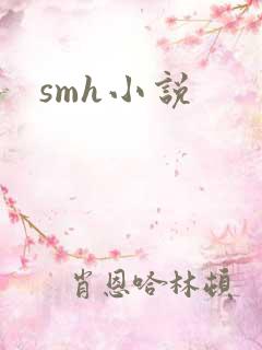 smh小说