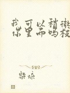 我可以稍微放进你里面吗校园版