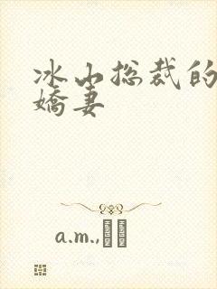 冰山总裁的掠爱娇妻