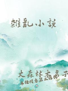 杂乱小说