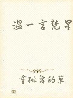温一言梵星小说