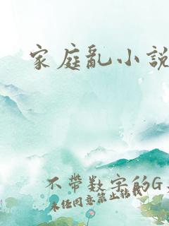 家庭乱小说