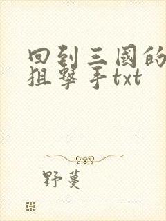 回到三国的特种狙击手txt