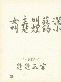 女主叫苏澜男主叫楚煜的小说