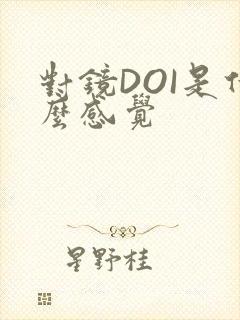 对镜DOI是什么感觉