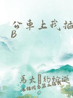 公车上我插上骚B