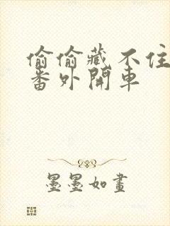 偷偷藏不住婚后番外开车