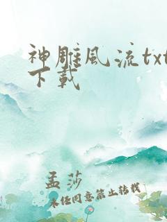 神雕风流txt下载