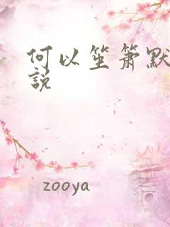 何以笙箫默 小说