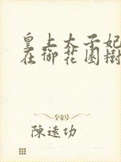 皇上太子妃沈音在御花园树上