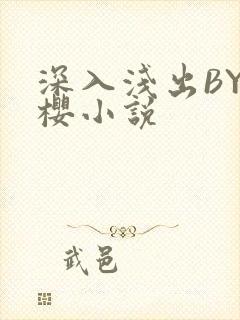 深入浅出BY胖樱小说