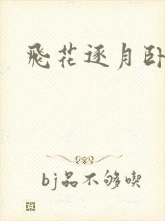 飞花逐月卧龙生