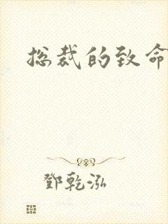 总裁的致命罪妻