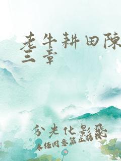 老牛耕田陈雪第三章