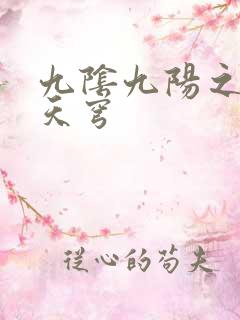 九阴九阳之武战天穹