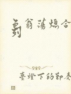 色翁荡熄合集系列