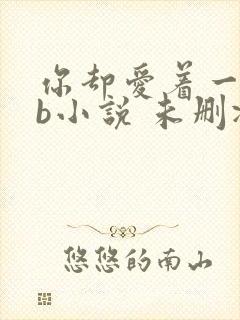 你却爱着一个sb小说 未删减完整版百度云