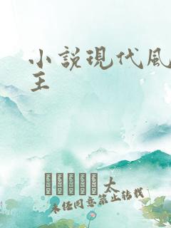 小说现代风流霸主