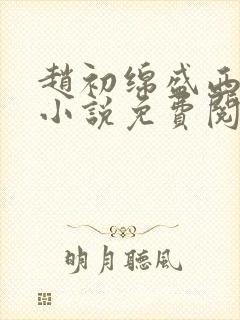 赵初绵盛西舫的小说免费阅读