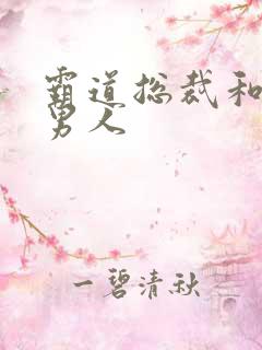 霸道总裁和他的男人