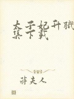 太子妃升职记全集下载