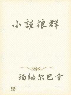 小说狼群