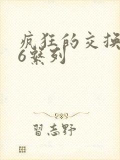 疯狂的交换1一6系列