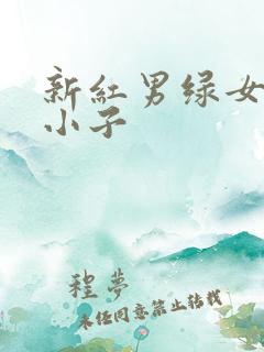 新红男绿女之坏小子